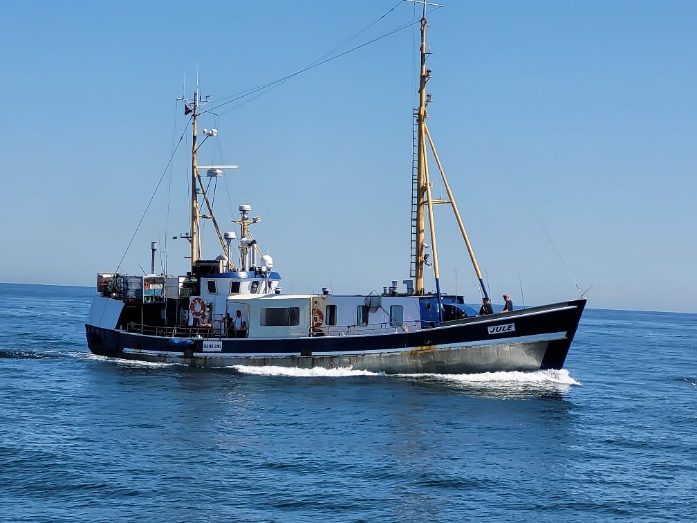 jule hirtshals hochseeangeln gelbes riff dänemark dorschangeln