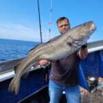 jule hirtshals hochseeangeln gelbes riff dänemark dorschangeln