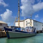 jule hirtshals helsingor dänemark hochseeangeln dorsch hering